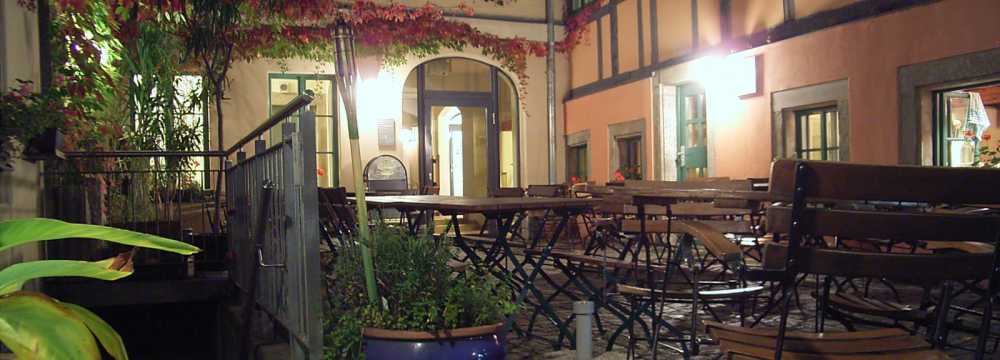 BrennNessel in Dresden