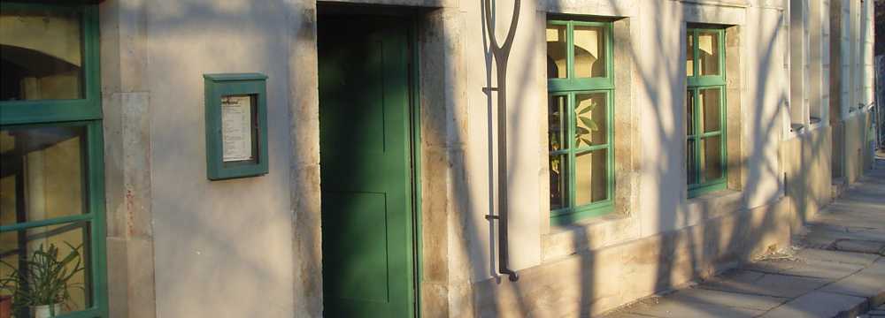 BrennNessel in Dresden