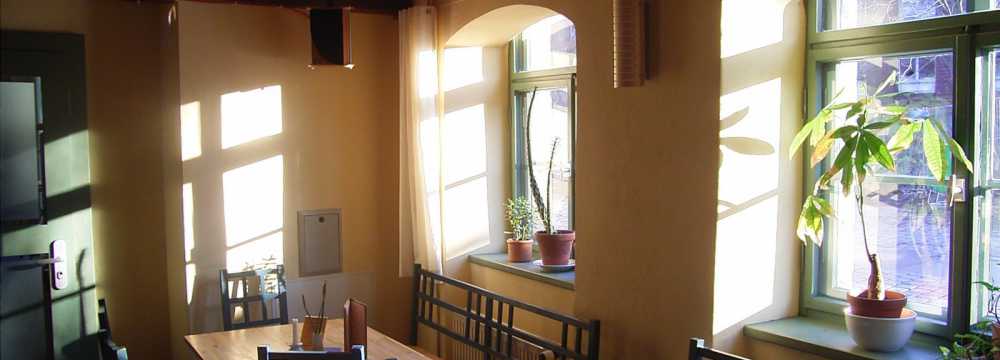 BrennNessel in Dresden