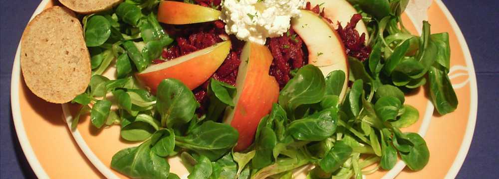 BrennNessel in Dresden