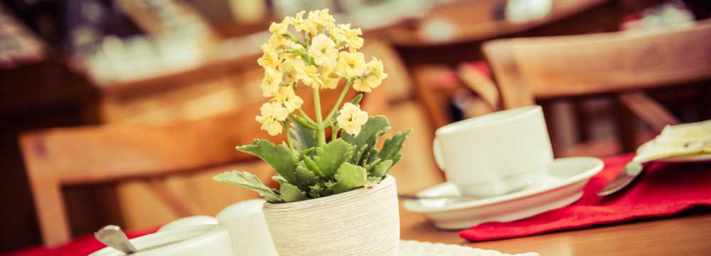 Loipenklause in Oberwiesenthal