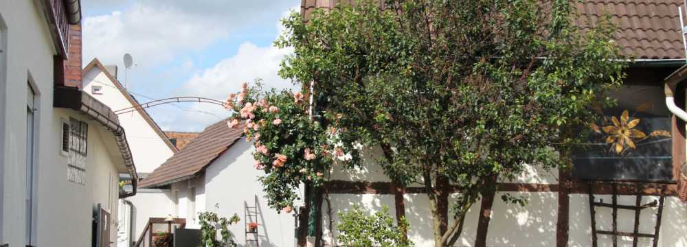 Restaurant Zur Post  in Zwingenberg-Rodau