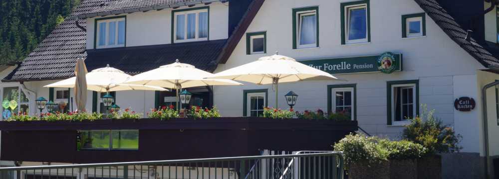 Zur Forelle Restaurant und Pension in Forbach-Hundsbach
