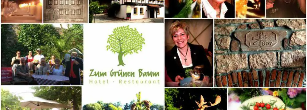 Hotel Restaurant Zum Grnen Baum in Michelstadt