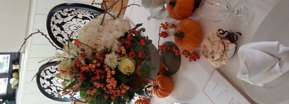 Restaurant & Hotel Sch�ne Aussicht in Dresden