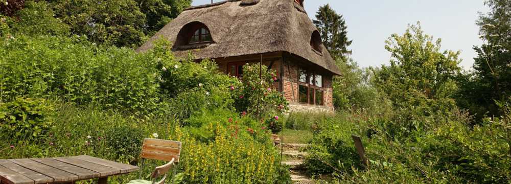 Alge Veggie Bistro B�rzow in Stepenitztal/OT B�rzow