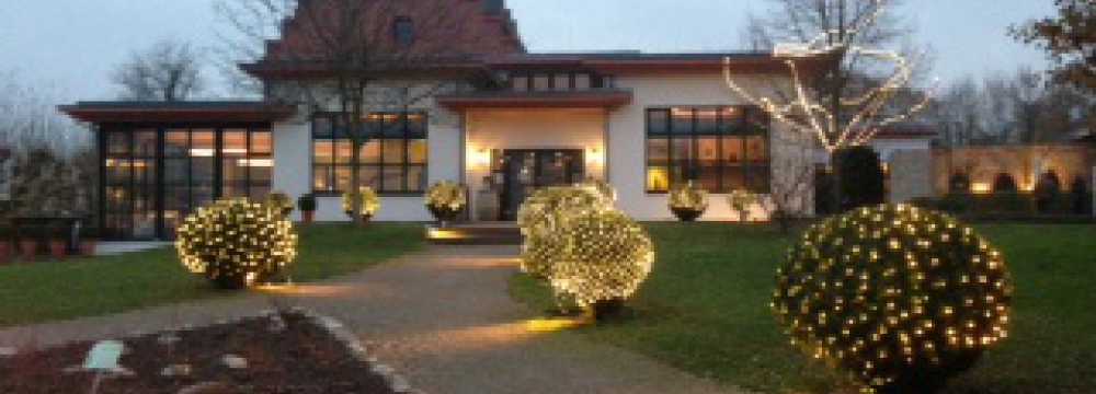 Burg Crass in Eltville