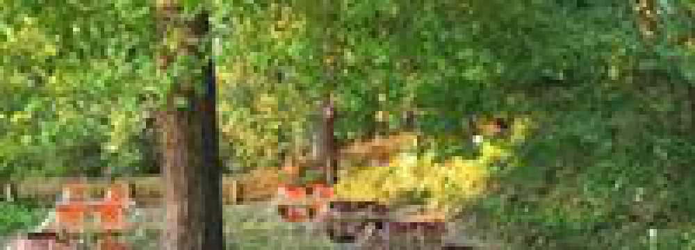 S�dtiroler Stuberl in Regensburg