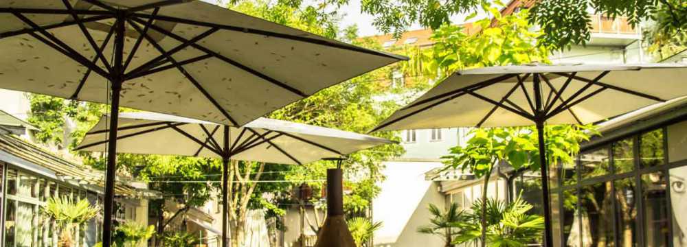 Eivissa Dresden in Dresden