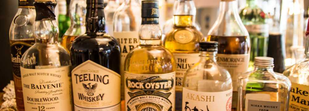 Eivissa Dresden in Dresden