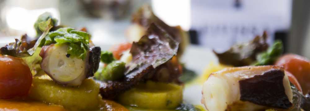 Eivissa Dresden in Dresden