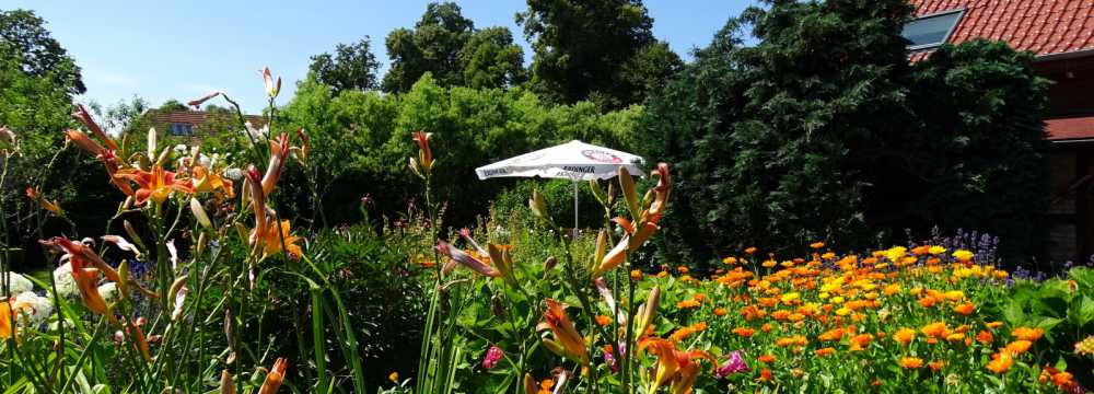 Neuendorfkrug in Neuendorf auf Usedom