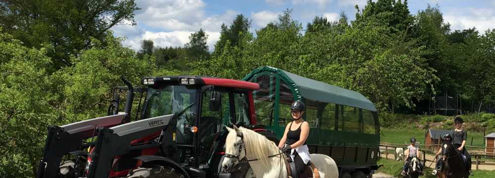 Ferienhotel Stockhausen in Schmallenberg-Sellinghausen