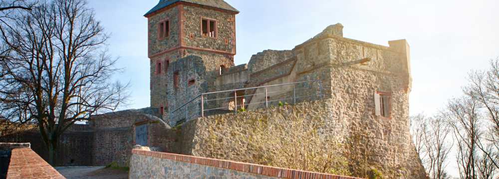 Burg Frankenstein in M�hltal