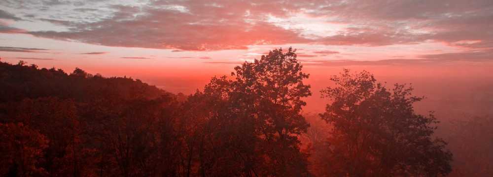 Burg Frankenstein in M�hltal