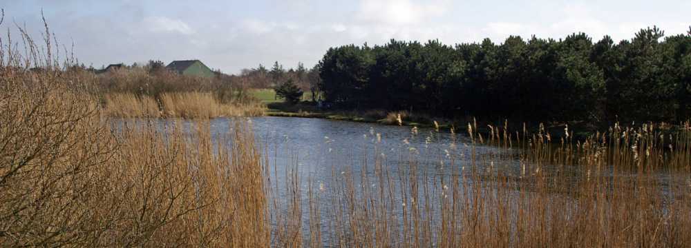 Restaurant Hennigs  in Utersum