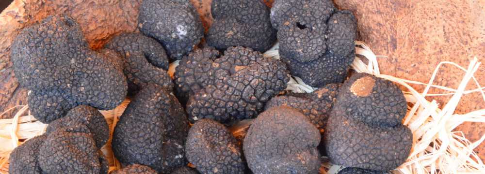 trattoria tr�ffel in essen