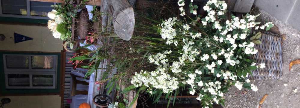 Zum Schaukelpferd in Bruckm�hl