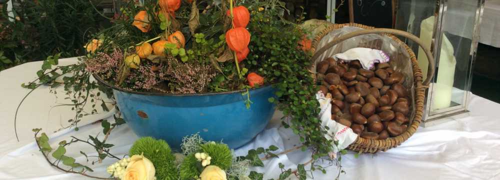 Zum Schaukelpferd in Bruckm�hl