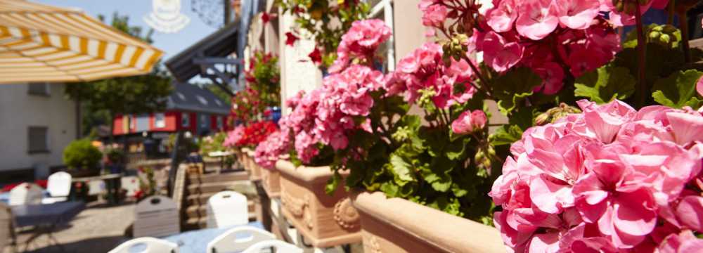 Burgsch�nke in Kaiserslautern-Hohenecken