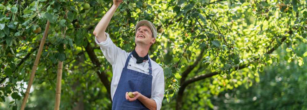 Hebelstube im Hotel Alte Post in M�llheim