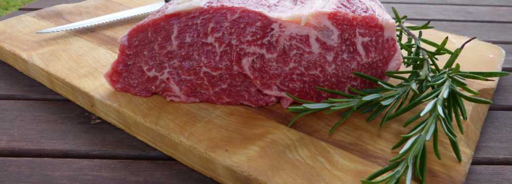 Ferienhotel Wolfsm�hle  in Nordhausen OT Rodishain