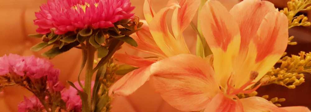 Frau Hopf im Schlo�caf� in T�bingen