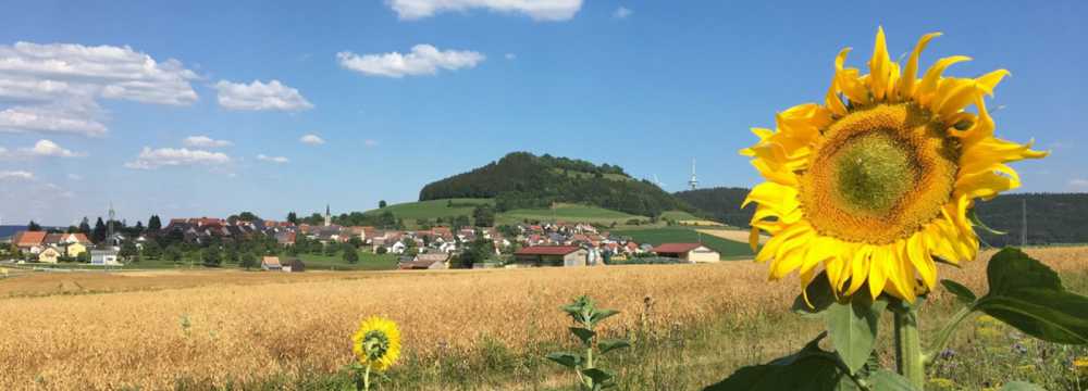 Hotel Gasthof zum R�ssle in H�fingen