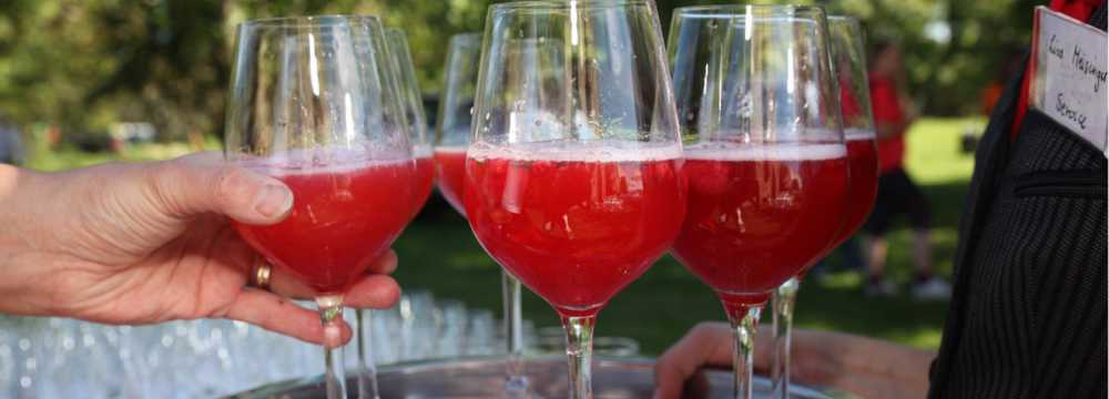 Hotel Gasthof zum R�ssle in H�fingen