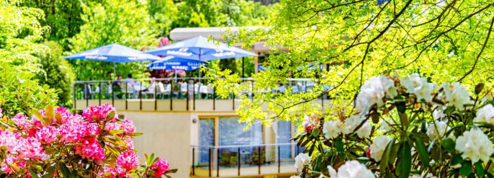 Hotel Restaurant 'Villa Marburg im Park' in Heigenbr�cken