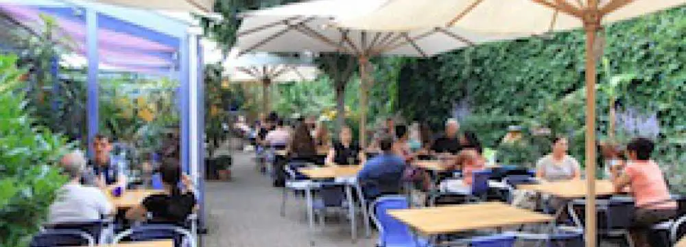 Hellers Vegetarisches Restaurant & Caf in  Mannheim