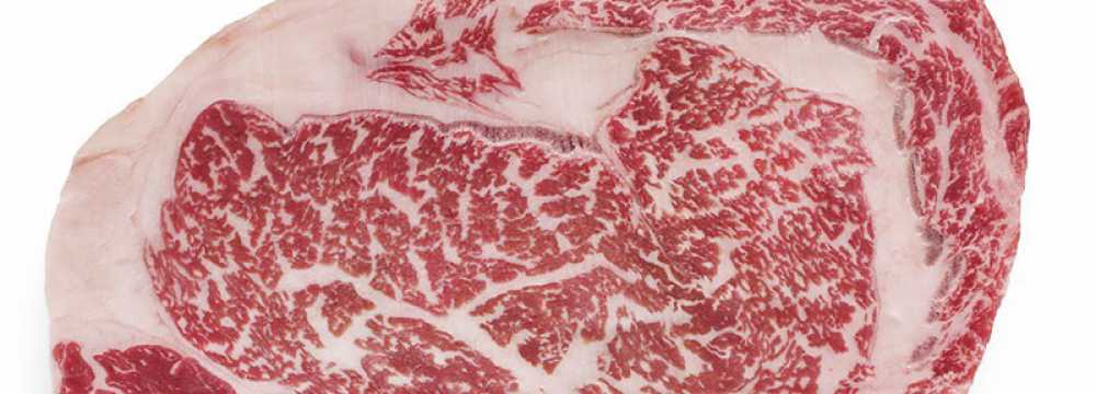 Toro Grosso GmbH in Magdeburg