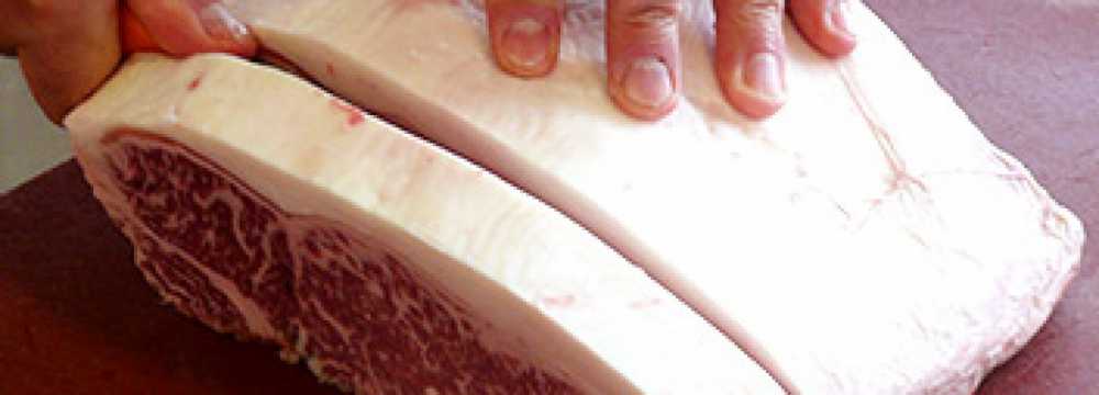 Toro Grosso GmbH in Magdeburg