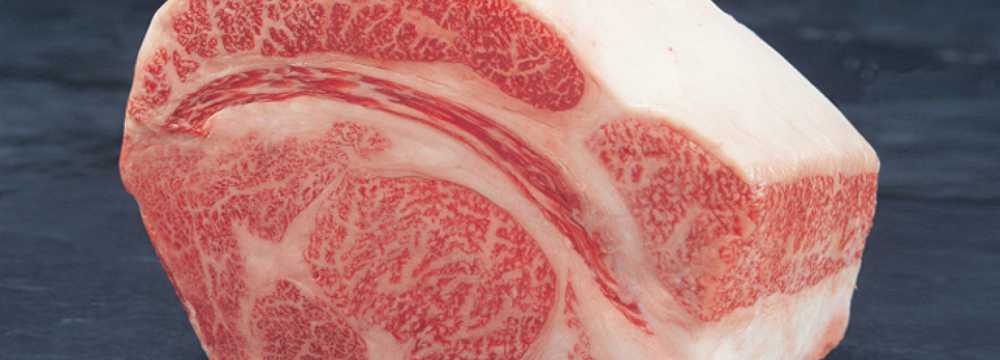 Toro Grosso GmbH in Magdeburg