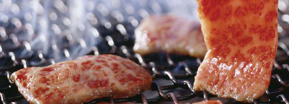 Toro Grosso GmbH in Magdeburg