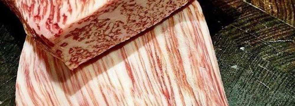 Toro Grosso GmbH in Magdeburg