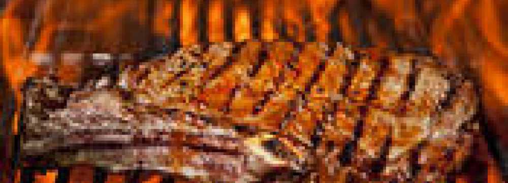 Toro Grosso GmbH in Magdeburg