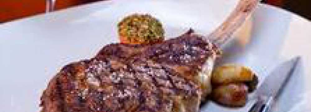 Toro Grosso GmbH in Magdeburg