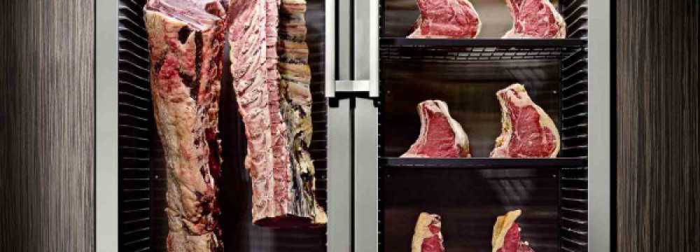 Toro Grosso GmbH in Magdeburg