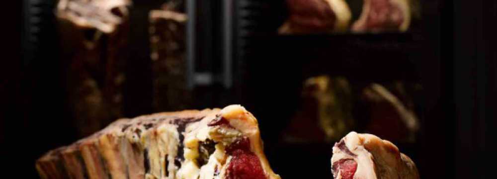 Toro Grosso GmbH in Magdeburg