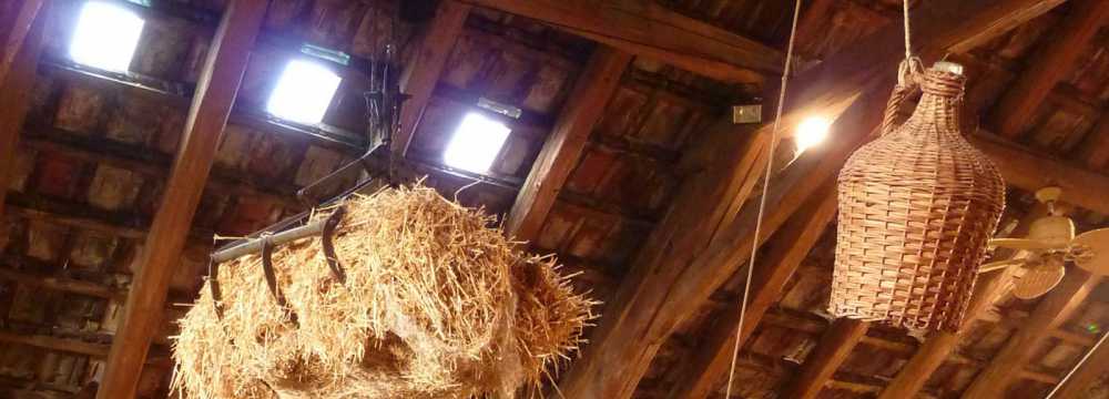 L�wen in Schopfheim