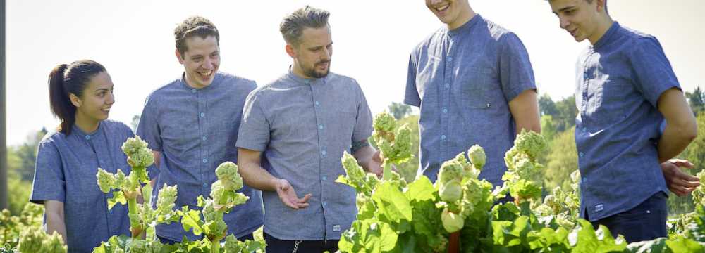 Der Schwarze Adler  in N�rnberg