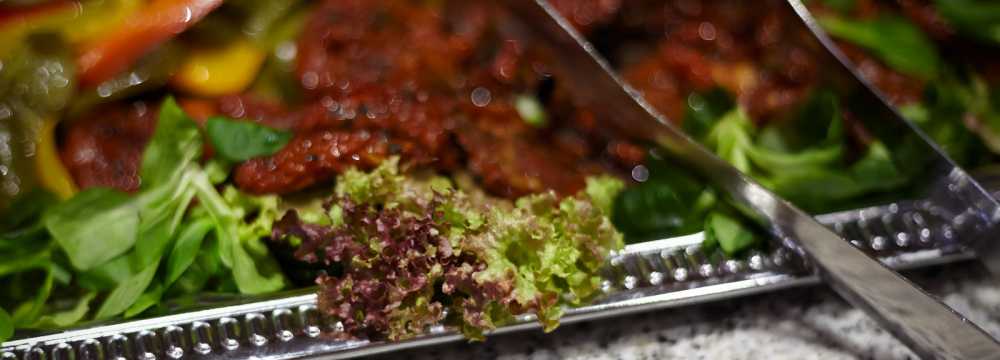 Hotel Zur Burg Sternberg GmbH & Co. KG in Extertal