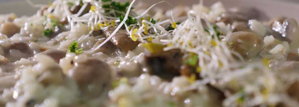 Gallo Pazzo in M�nchen