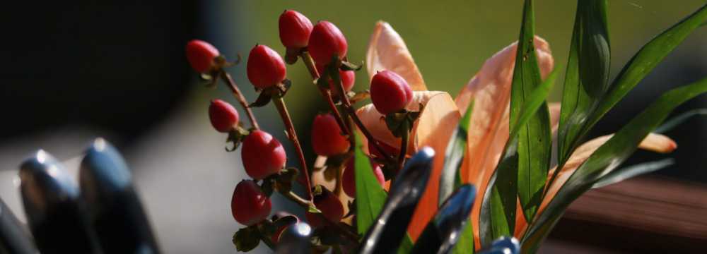 Lava Restaurant Usingen in Usingen