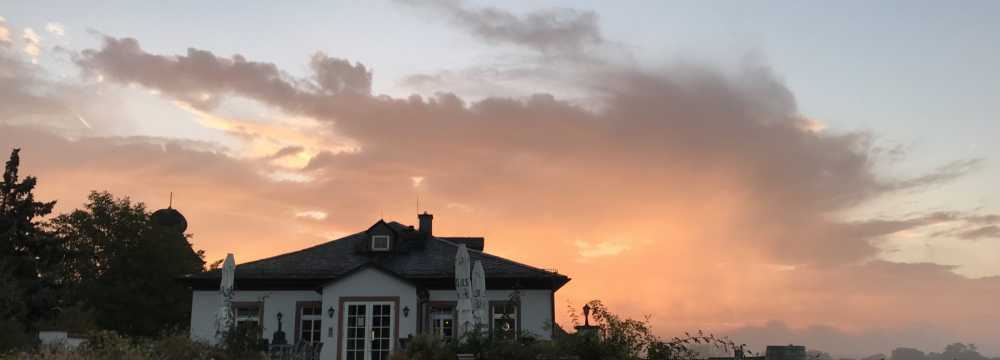 Dom�nenweingut Schloss Sch�nborn Vinothek & Weinbistro in Hattenheim