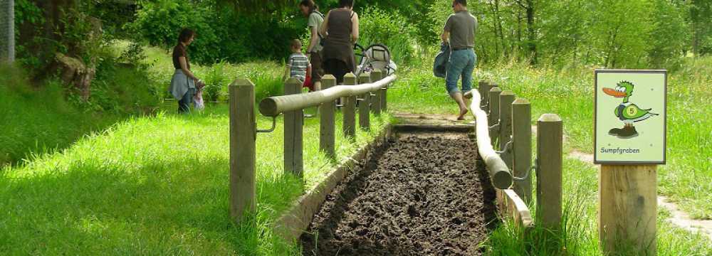 Blick zum Maimont in Ludwigswinkel