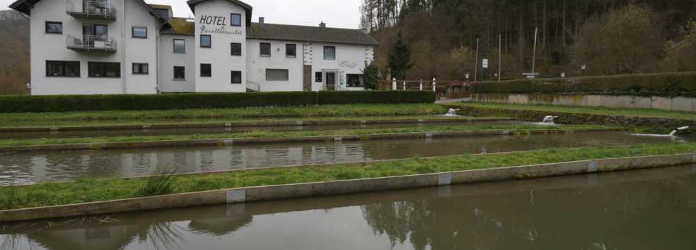 Hotel Forellenzucht in Burgen/Macken