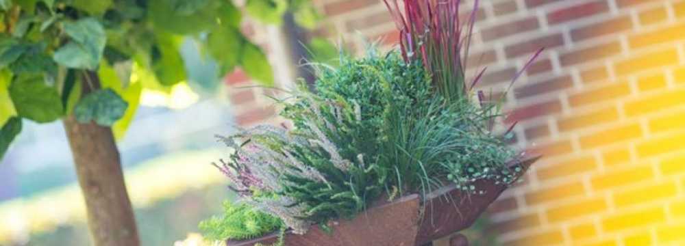 Heidekrug Bentstreek in Bentstreek