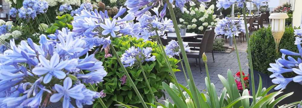 Gasthaus Fellertal in Fell